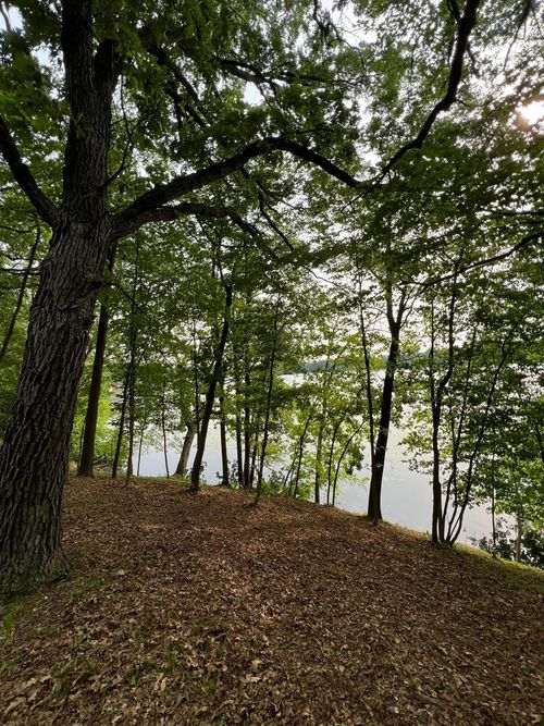 XXX Acorn Rd, Burtrum, MN, 56318 | Card Image