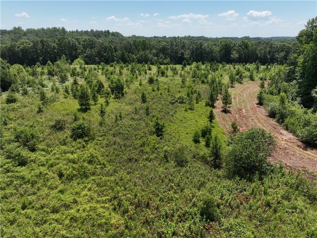 379 Kimberly Ln, Home with 0 bedrooms, 0 bathrooms and null parking in Tamassee SC | Image 4
