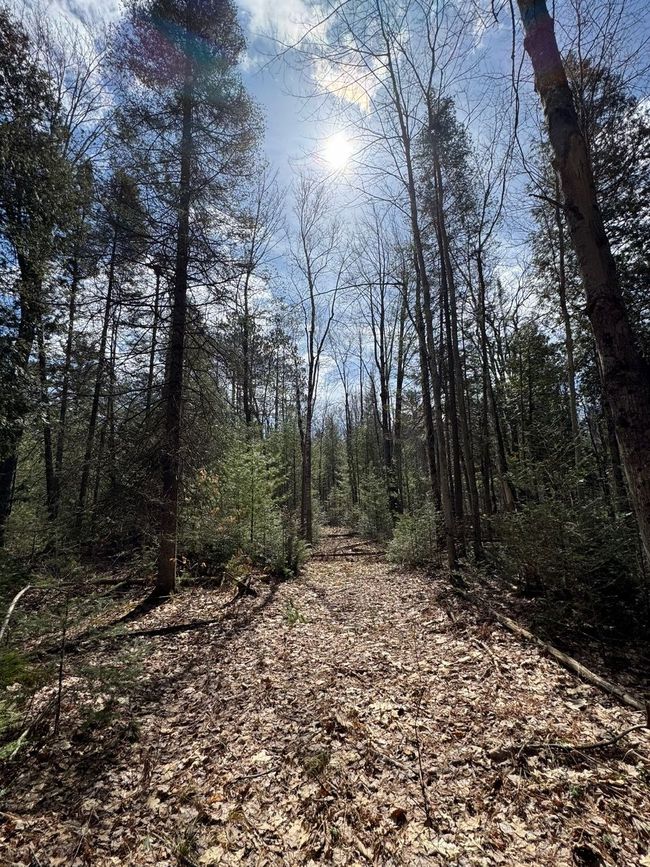 4233 Hardacre Trl, Home with 0 bedrooms, 0 bathrooms and null parking in Houghton Lake MI | Image 14
