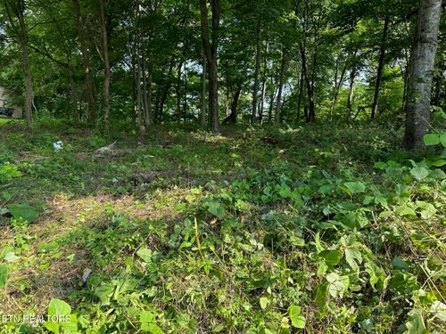 0 Black Oak Estates Rd, Dayton, TN, 37321 | Card Image
