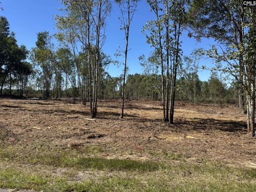 0 Sc Highway 773, Pomaria, SC, 29126 | Card Image