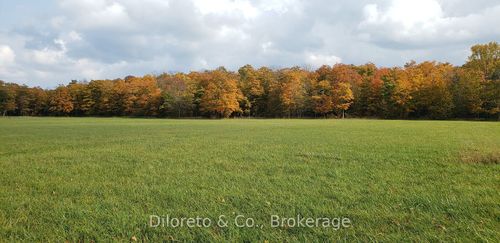 lot 21 Cape Chin North Rd, Northern Bruce Peninsula, ON, N0H1W0 | Card Image