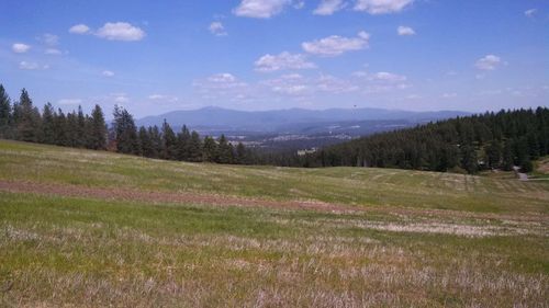 16419 N Dalton Rd, Spokane, WA, 99208 | Card Image