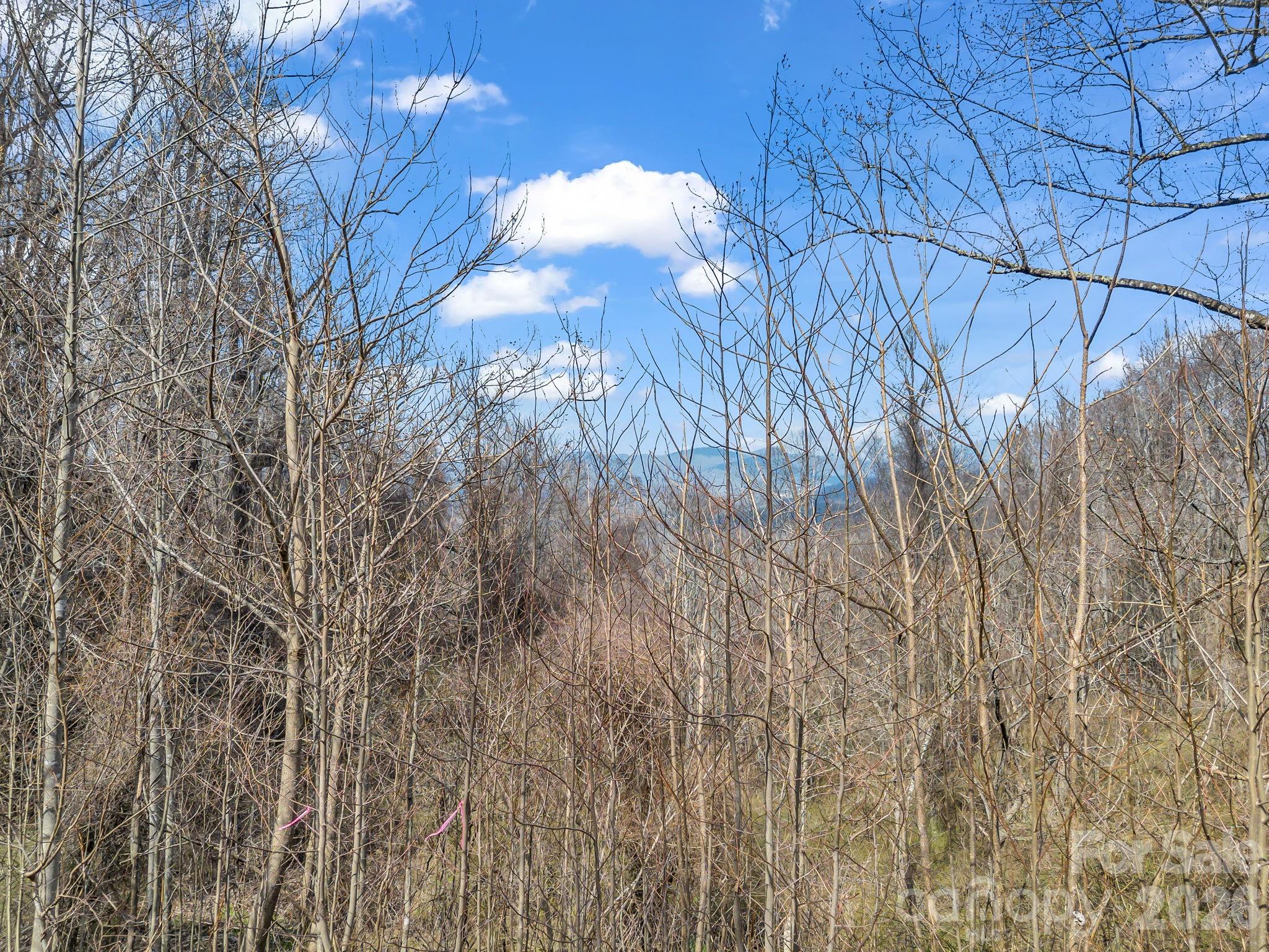 Land in Asheville 2