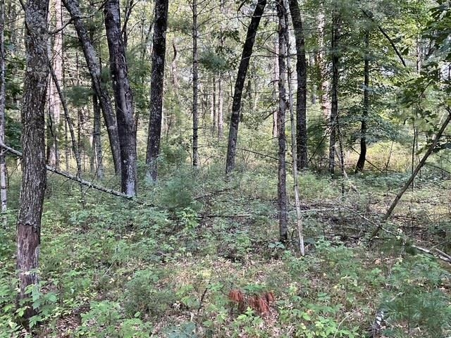 Land in Monroe 5