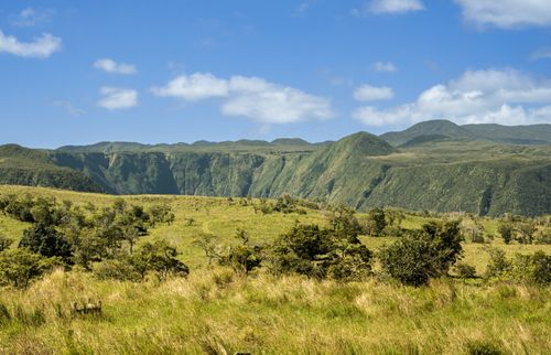 47-5343 W Waikoekoe Ln, Honokaa, HI, 96727 | Card Image