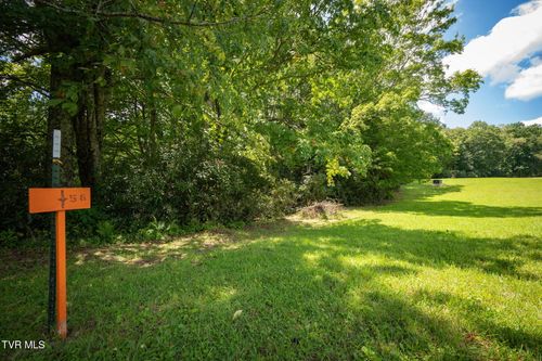 1776 Ripshin Mountain Rd, Roan Mountain, TN, 37687-3758 | Card Image