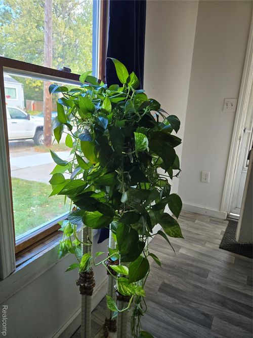 1470 E Pearl Ave, Hazel Park, MI, 48030-1925 | Card Image