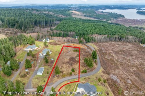 0 Red Hawk Dr, Castle Rock, WA, 98611 | Card Image