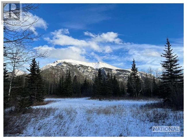 300302 Bow Valley Trail, Home with 0 bedrooms, 0 bathrooms and null parking in Canmore AB | Image 5