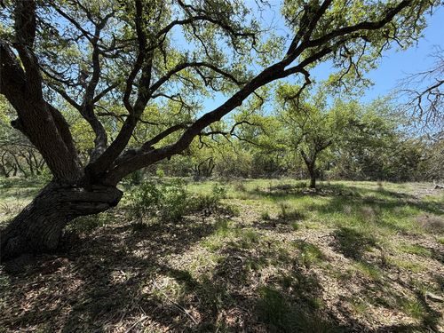 Lot 106 E Flying Owl Dr, Johnson City, TX, 78636 | Card Image