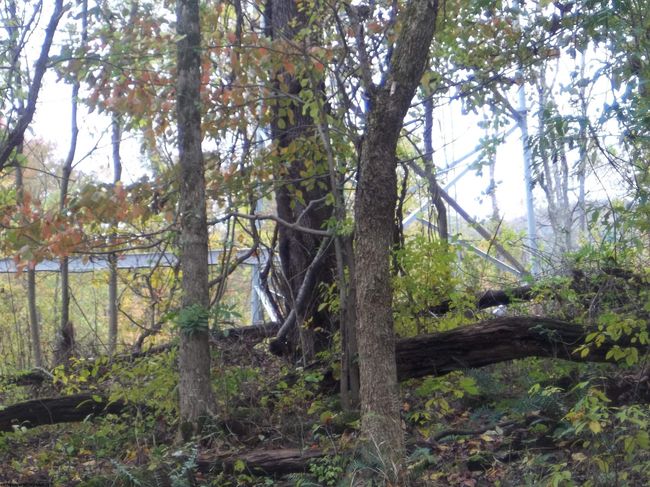 2410 Buckhannon Pike, Home with 0 bedrooms, 0 bathrooms and null parking in Mount Clare WV | Image 23