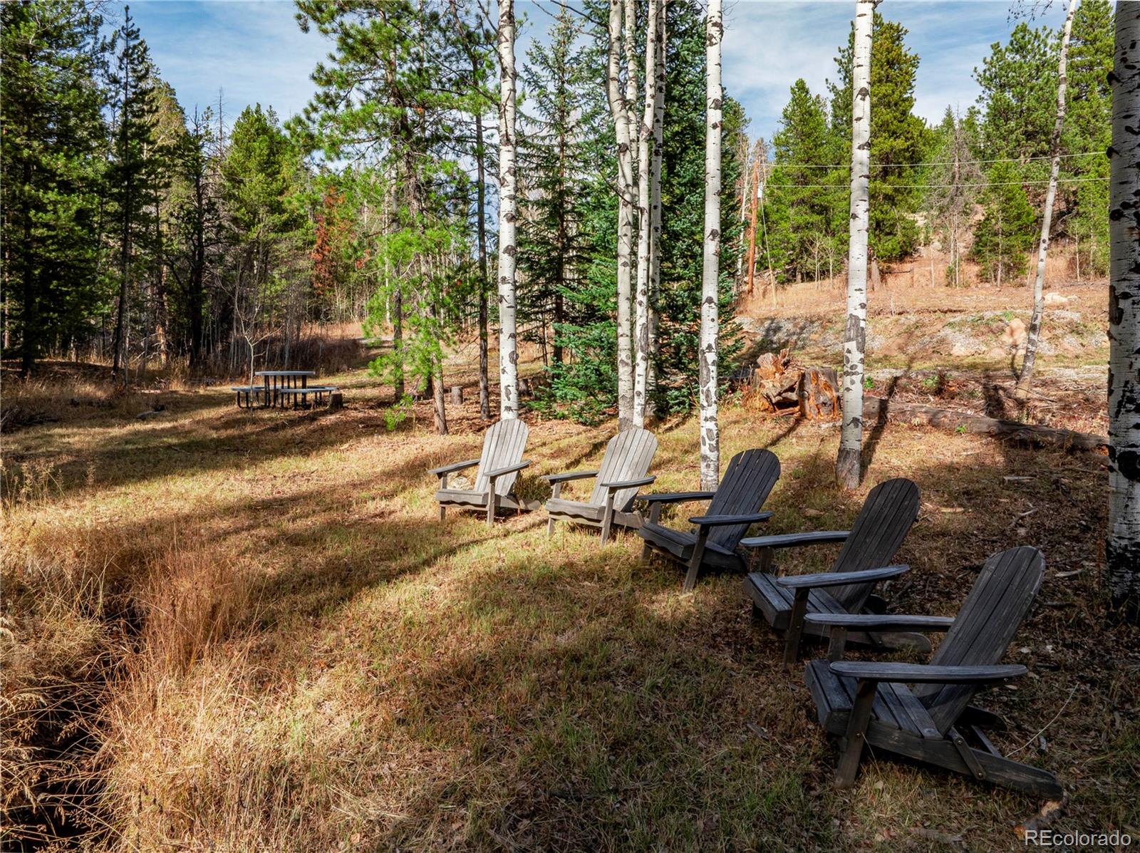 Land in Conifer 3