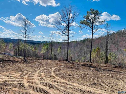 170 acres County Road 21, Ashville, AL, 35953 | Card Image