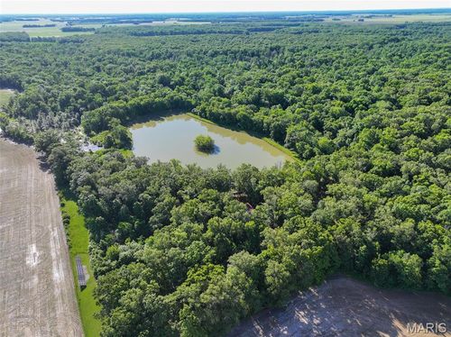 2040 Schlager Road, Elkville, IL, 62932 | Card Image