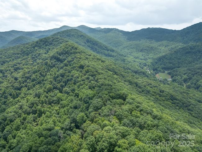 000 White Rock Branch Rd, Home with 0 bedrooms, 0 bathrooms and null parking in Candler NC | Image 27