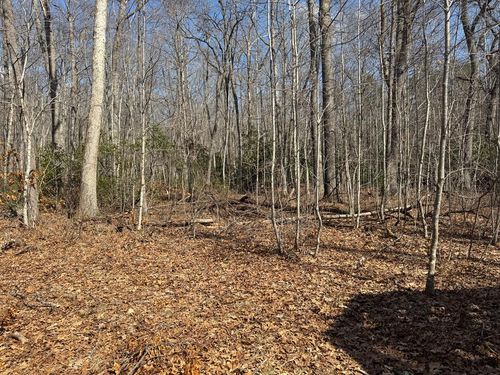 TBD Brookstone Road, Bastian, VA, 24314 | Card Image