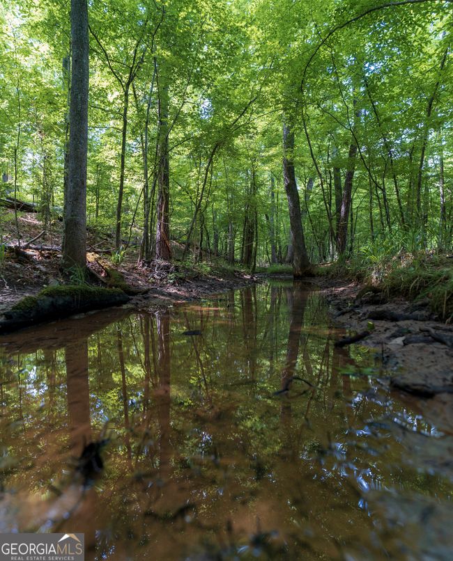 0 Old Dames Ferry Rd, Home with 0 bedrooms, 0 bathrooms and null parking in Juliette GA | Image 7