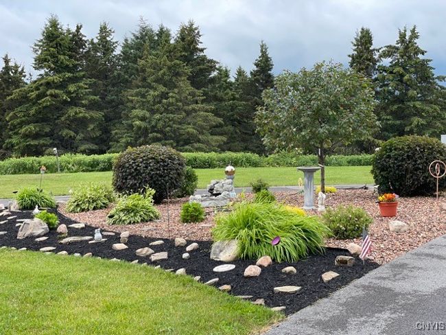 Front flower bed | Image 42