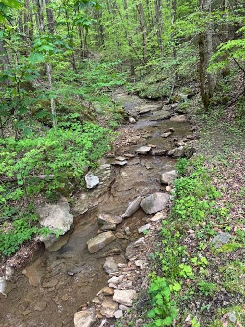3911 Middle Fork Rd, Warbranch, KY, 40874-7014 | Card Image