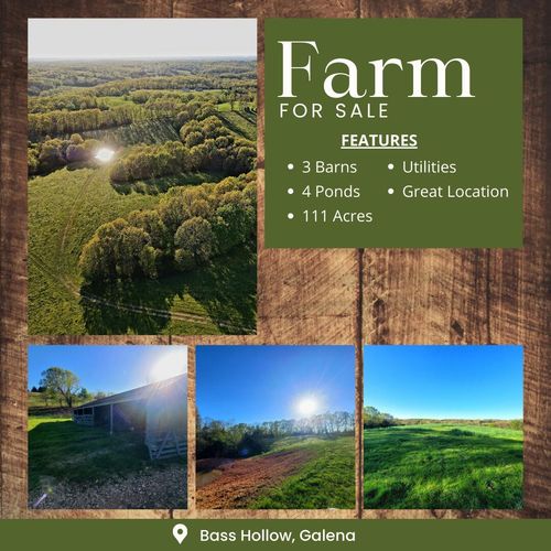000 Bass Hollow Rd, Galena, MO, 65656 | Card Image