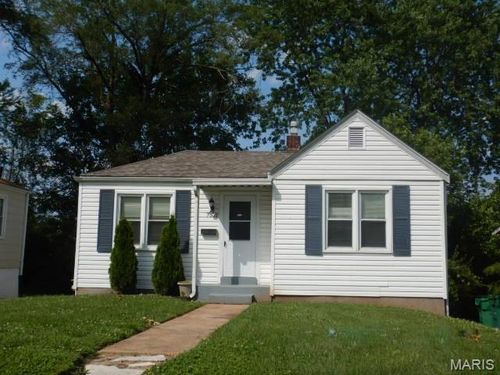 7521 Chandler Ave, Saint Louis, MO, 63136-1205 | Card Image