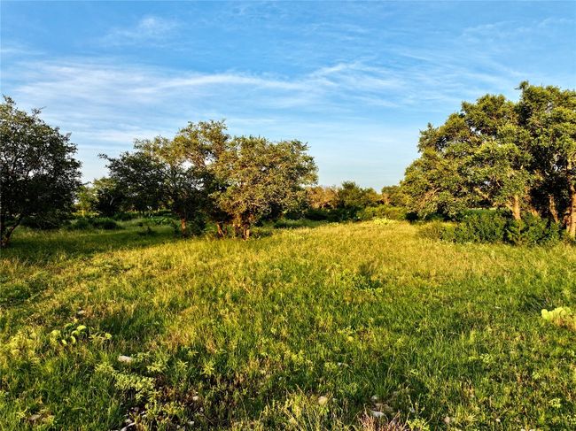 View of nature | Image 22