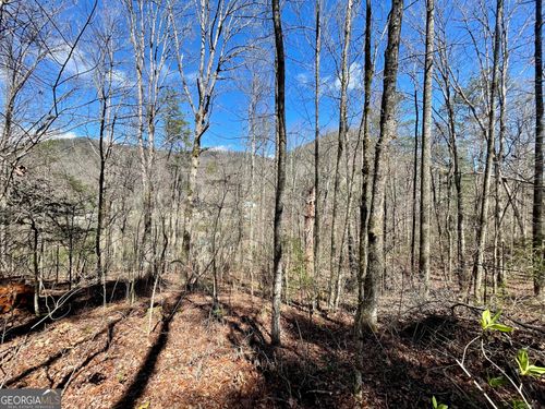 0 Bridge Creek Rd, Tiger, GA, 30576 | Card Image