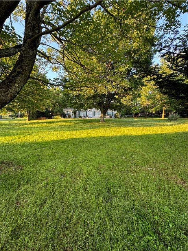 Mature trees on Level lot | Image 6