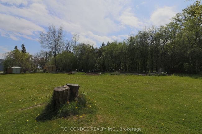 692 N Shore Dr E, Home with 0 bedrooms, 0 bathrooms and null parking in Bailieboro ON | Image 14