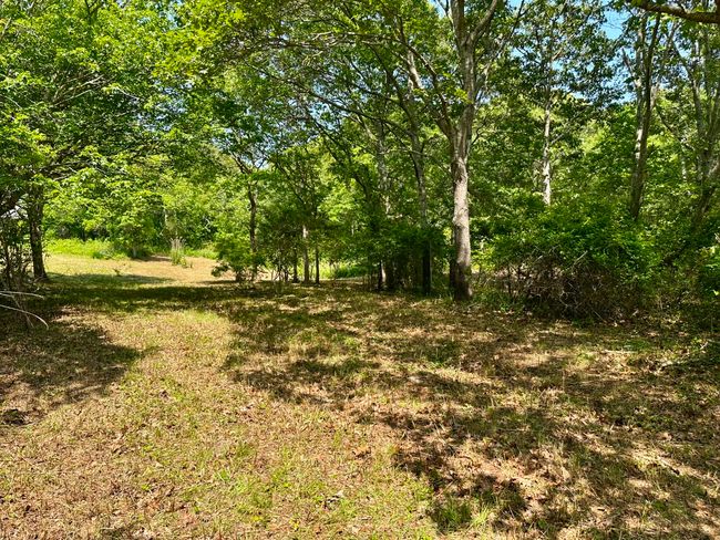 0 Jeffers Way, Home with 0 bedrooms, 0 bathrooms and null parking in Chilmark MA | Image 11