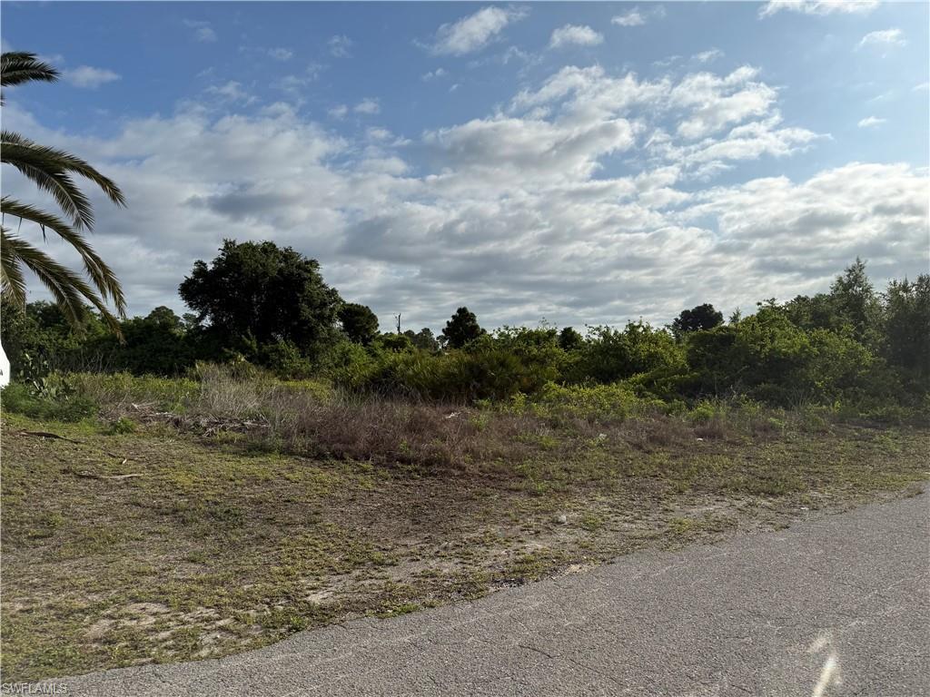 Land in LEHIGH ACRES 4