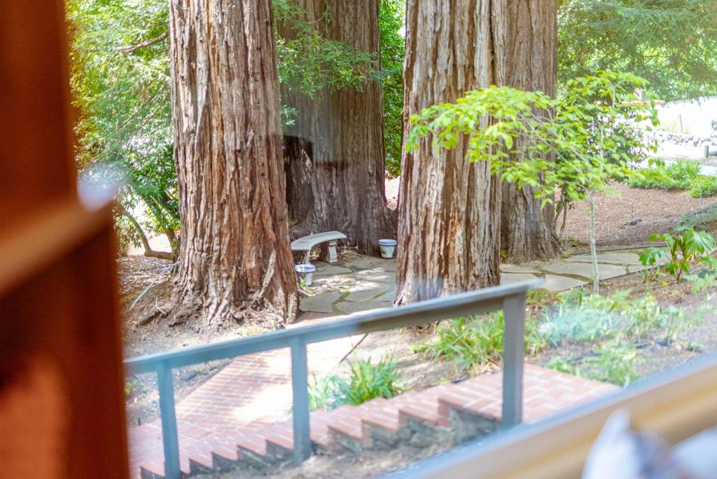 Residential in Scotts Valley 3