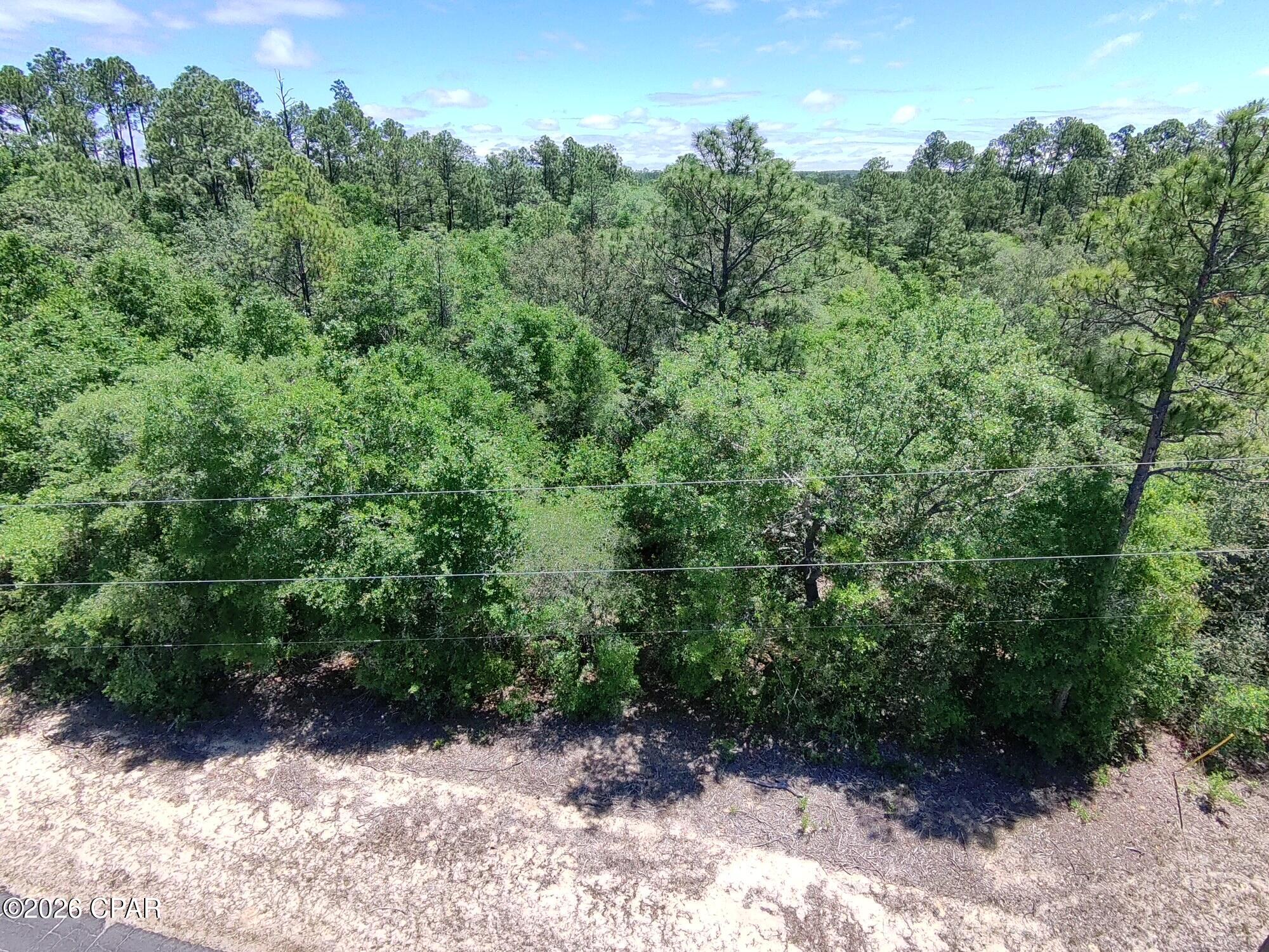Land in Chipley 5