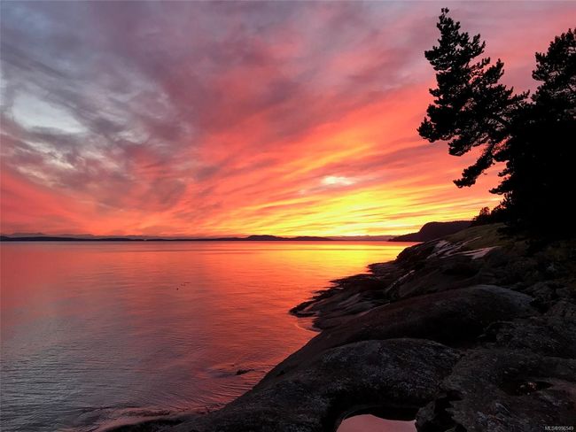 Beautiful sunsets! | Image 14