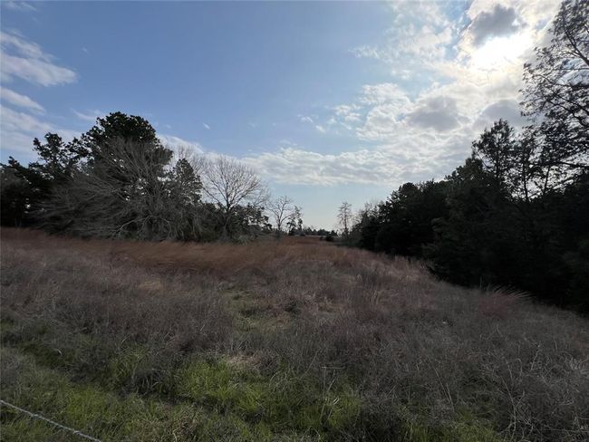 14075 Hall Rd, Home with 4 bedrooms, 3 bathrooms and null parking in Cat Spring TX | Image 7