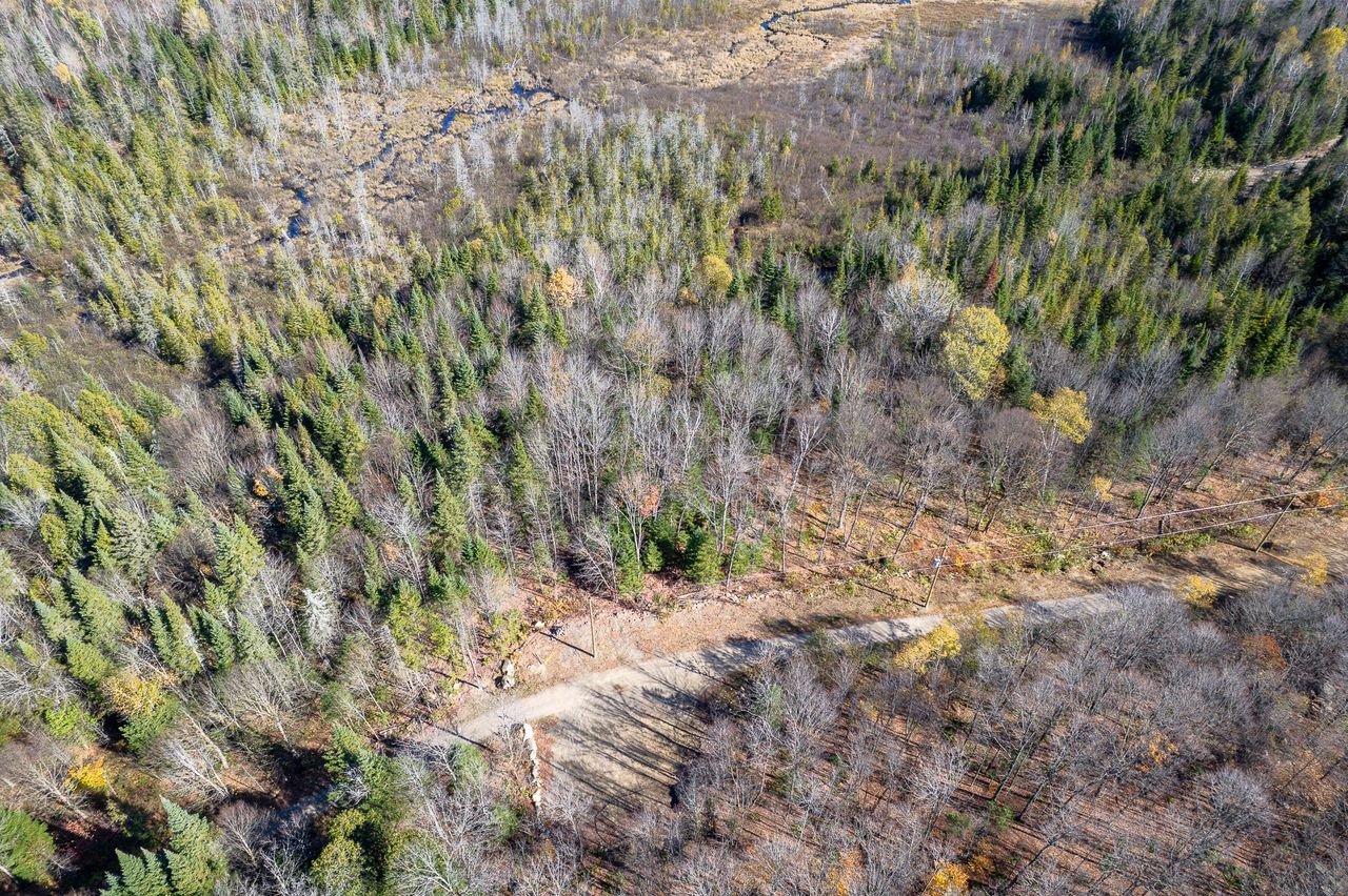 Land in Saint-Didace 5