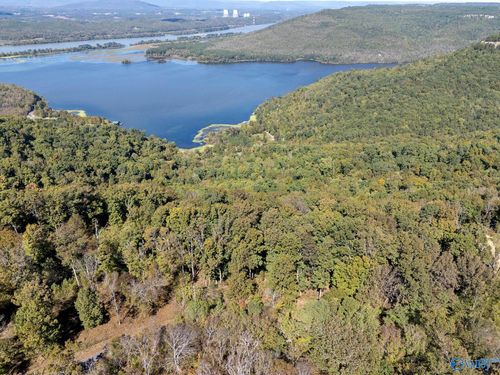 Lot 3 County Road 224, Dutton, AL, 35744-7207 | Card Image