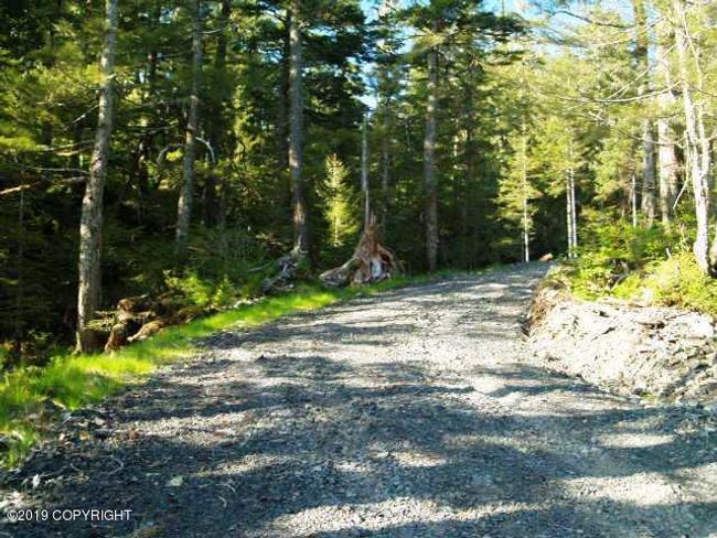 private driveway to lot 18 | Image 8