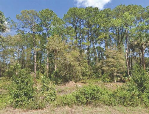 318 Redwood Boulevard, Georgetown, FL, 32139 | Card Image