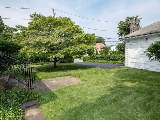 View of green lawn | Image 11