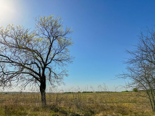 10 E Hamilton Rd, Shelbyville, TX, 75973 | Card Image
