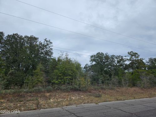 TBD Randolph Dr, Chipley, FL, 32428 | Card Image