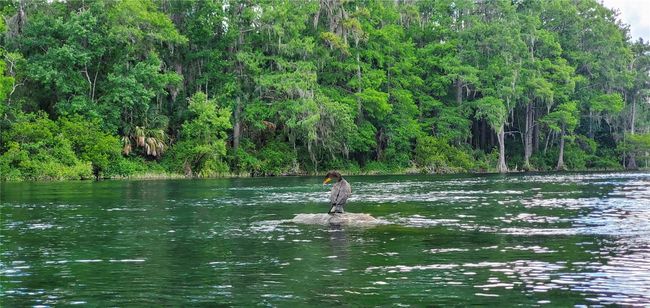 River Access | Image 52