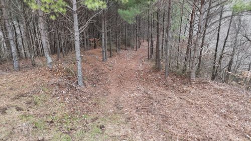 2932 Old Hohenwald Rd, Linden, TN, 37096-2102 | Card Image