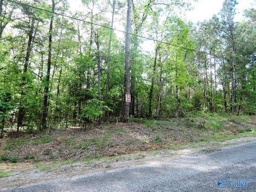 Lot 50 Harbor Loop, Jasper, AL, 35504 | Card Image