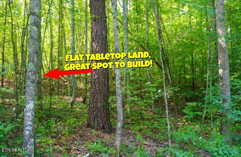 Land in Sevierville 5