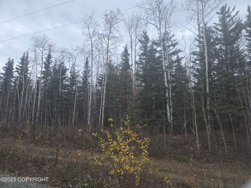 L3 B1 Brenden Boulevard, Copper Center, AK, 99573 | Card Image