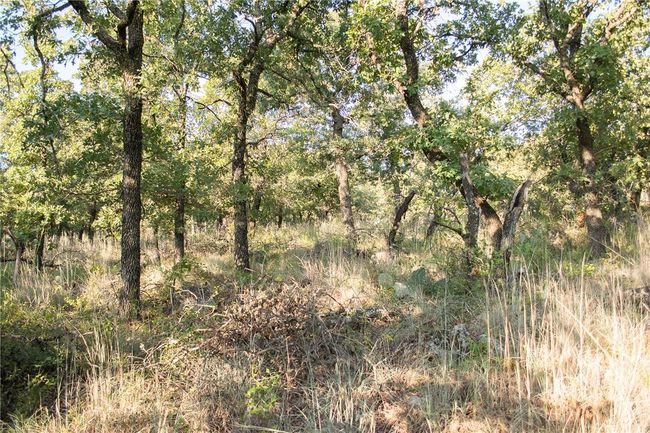 1020 Post Oak Rd, Home with 0 bedrooms, 0 bathrooms and null parking in Gordon TX | Image 14