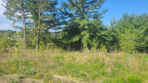 58 Pondview St, Limestone, ME, 04750-1360 | Card Image